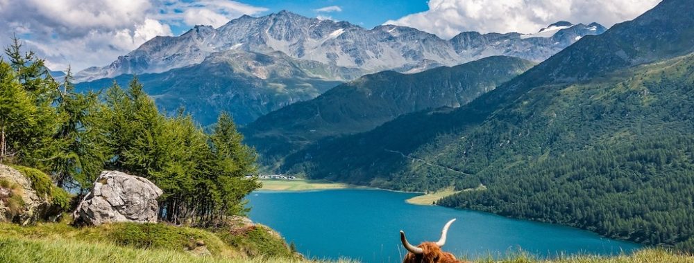 La Suisse se distingue