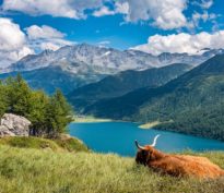 La Suisse se distingue