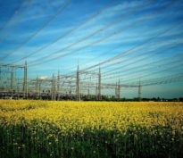 L’IA fait la pluie et le beau temps sur le secteur de l’électricité