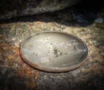 La saison des ‘altcoins’ arrive: Pourquoi les investisseurs devraient y prêter attention