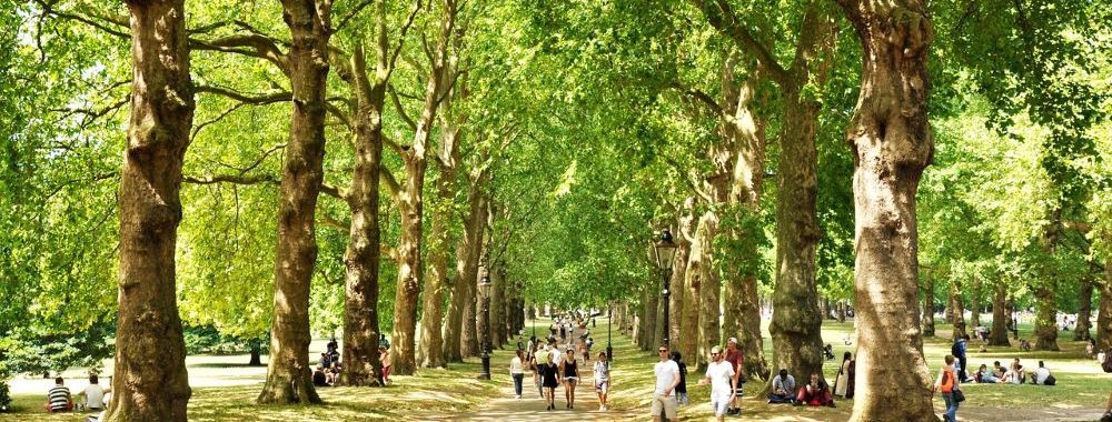 Construire des villes plus agréables pour l’avenir