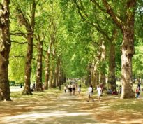 Construire des villes plus agréables pour l’avenir