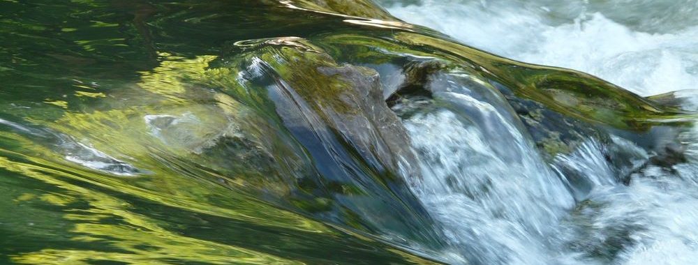 Le promeneur et son chien