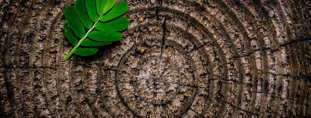 Où se situent les marchés boursiers les moins chers et les plus chers du monde