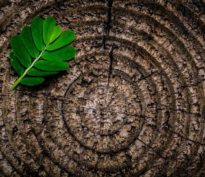 Où se situent les marchés boursiers les moins chers et les plus chers du monde