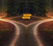 Harris ou Trump, quels secteurs favoriser?