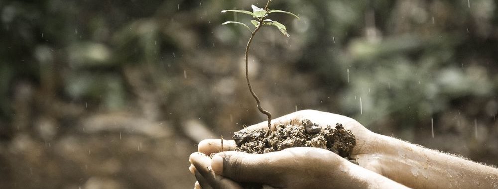 Transparence de l’investissement à impact coté, notre démarche d’amélioration continue