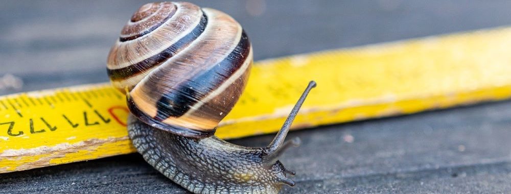 Ralentissement économique donc baisse des taux?