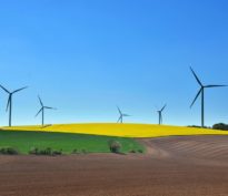 Comment science, gouvernement et entreprises peuvent assurer un monde durable