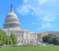 Au-delà de Trump et Harris: 5 courses au Congrès qui pourraient impacter l’avenir des crypto-actifs