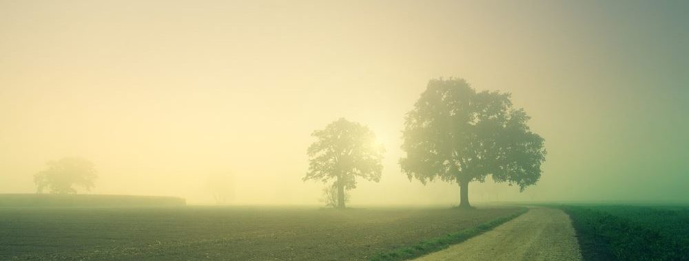 Les institutions collectives et communes sont sur la corde raide