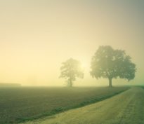 Les institutions collectives et communes sont sur la corde raide