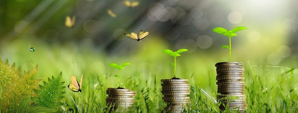 VBL lance un mandat de gestion responsable de  1,25 milliard d’euros avec Nordea Asset Management