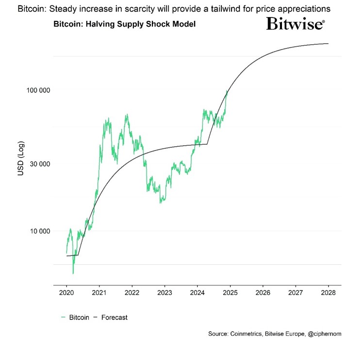 2024.12.05.Halvig supply shock model