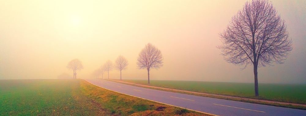 Obligations 2025: les rendements l’emportent