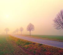 Obligations 2025: les rendements l’emportent