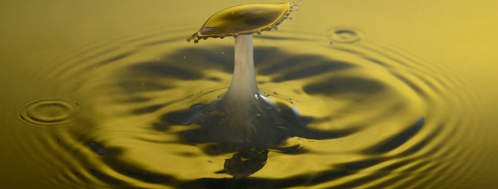 Nordea 1 – Global Impact Fund «Fonds de l’année» aux 2024 IMPACT Awards