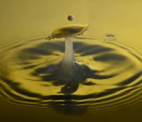 Nordea 1 – Global Impact Fund «Fonds de l’année» aux 2024 IMPACT Awards