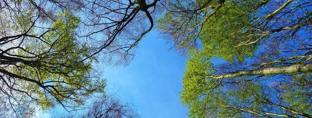 Perspectives 2025: Il n’y a pas de croissance infinie