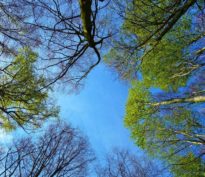 Perspectives 2025: Il n’y a pas de croissance infinie