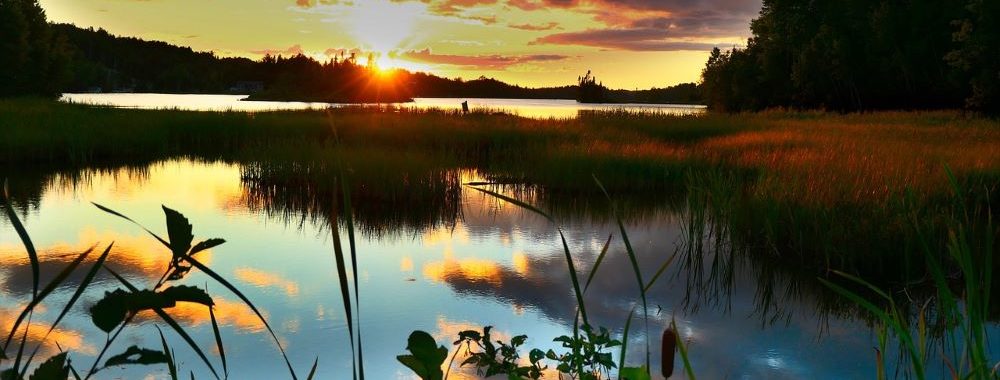 La Financière de l’Échiquier renforce son offre dédiée à la biodiversité
