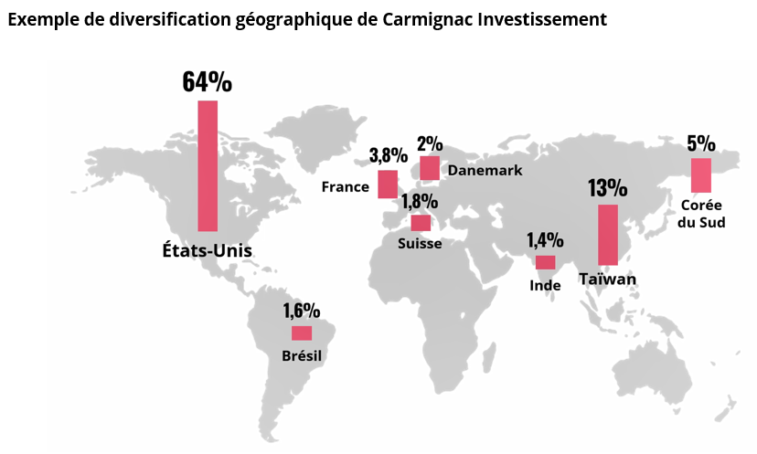 2025.02.20.Diversification