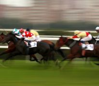 L’alpha n’est pas mort!