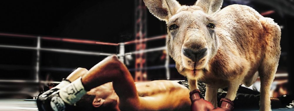 Cherchez l’erreur…