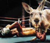 Cherchez l’erreur…