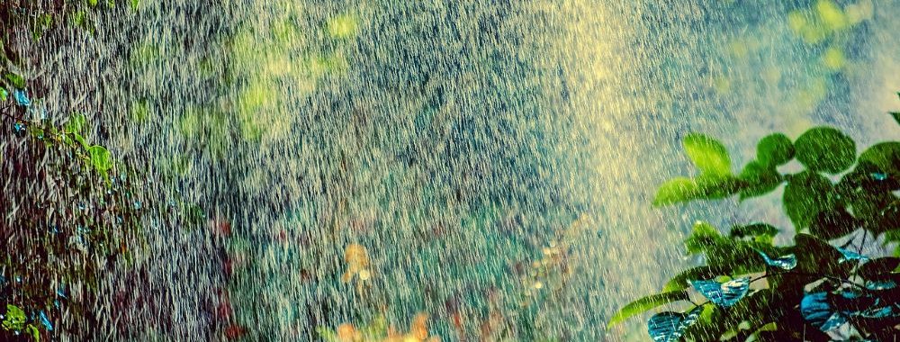 Les investisseurs façonnent un système alimentaire durable