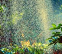 Les investisseurs façonnent un système alimentaire durable