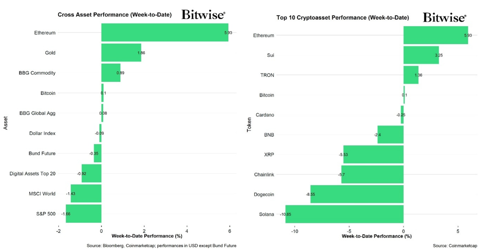 2025.02.26.Performance