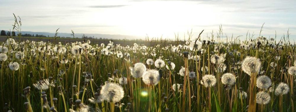La nouvelle donne géopolitique remet-elle en cause la thématique de la transition?