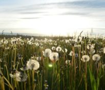 La nouvelle donne géopolitique remet-elle en cause la thématique de la transition?