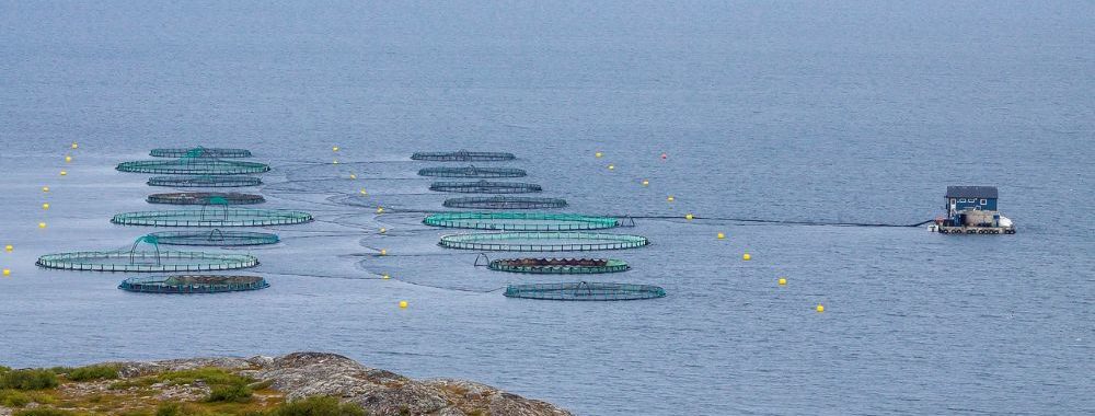 Comment fixer un objectif de décarbonation pour votre portefeuille de marchés privés?