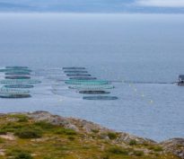 Comment fixer un objectif de décarbonation pour votre portefeuille de marchés privés?