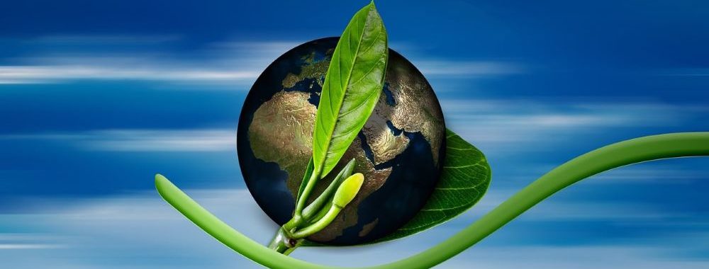 Nordea Asset Management maintient son engagement en faveur des stratégies climatiques