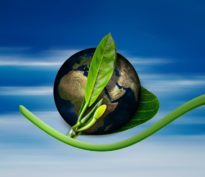 Nordea Asset Management maintient son engagement en faveur des stratégies climatiques