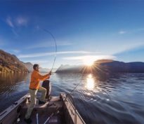 À la recherche de rendements plus élevés: une approche dynamique en obligations de haute qualité