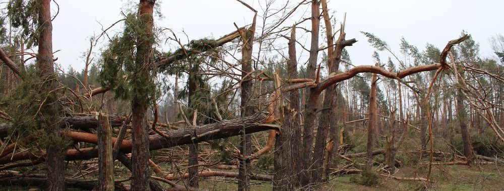 Investors’ Outlook: Évaluation des dégâts causés par la tempête