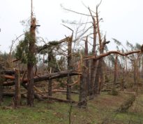 Investors’ Outlook: Évaluation des dégâts causés par la tempête