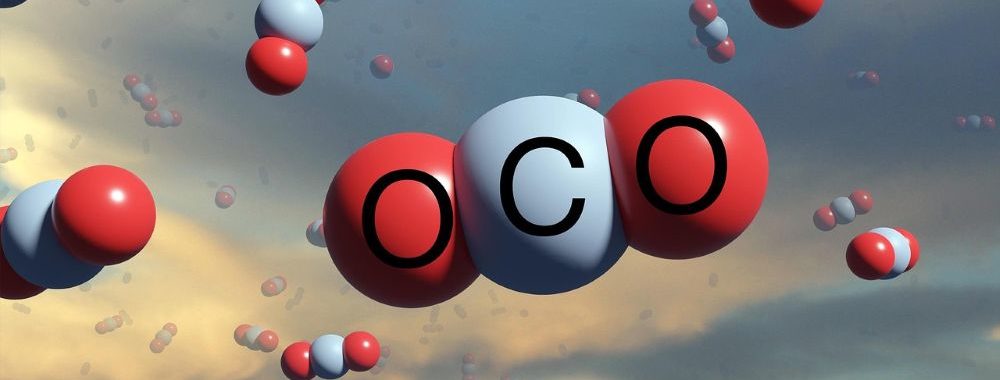 Comment les capitaux institutionnels peuvent accélérer la décarbonation