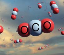 Comment les capitaux institutionnels peuvent accélérer la décarbonation