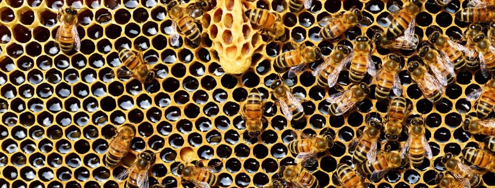 Les marchés privés et cotés sont au cœur des solutions pour répondre aux mutations sociétales