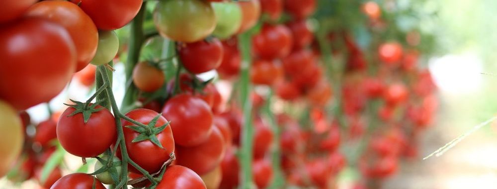 Marchés privés et résultats pour les régimes de retraite: le jeu en vaut-il la chandelle?