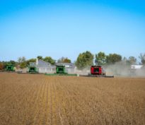 Le mouvement MAHA peut-il transformer en profondeur le marché américain de l’agroalimentaire?
