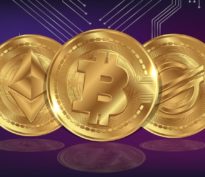 Le marché crypto aligne les records