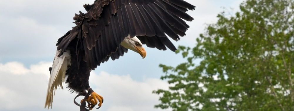 Economie US : un atterrissage en douceur… mais pour combien de temps?