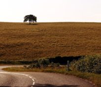 Actions value: le tournant tant attendu?