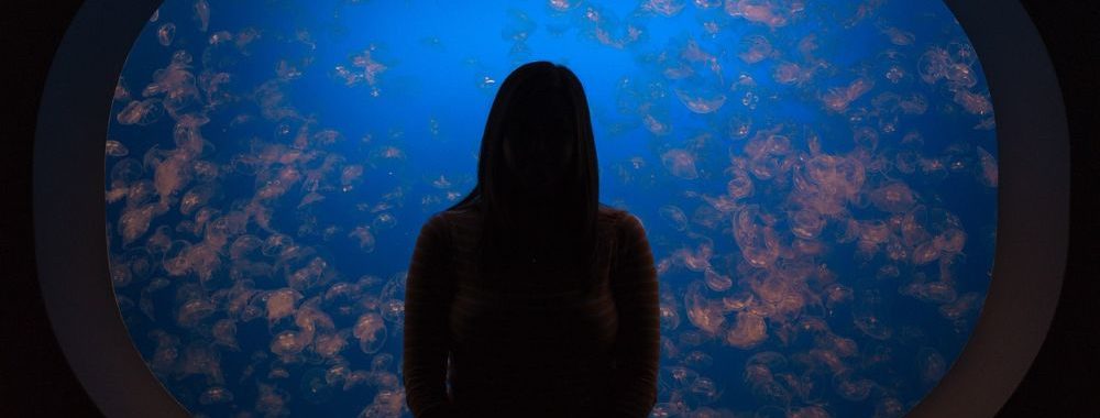 Maîtriser le manuel du capital-risque: 5 facteurs clés de succès, comment les appliquer aujourd’hui